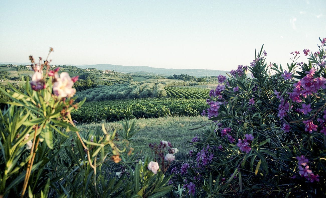 KODAK Portra 160 135/36 - Image 3