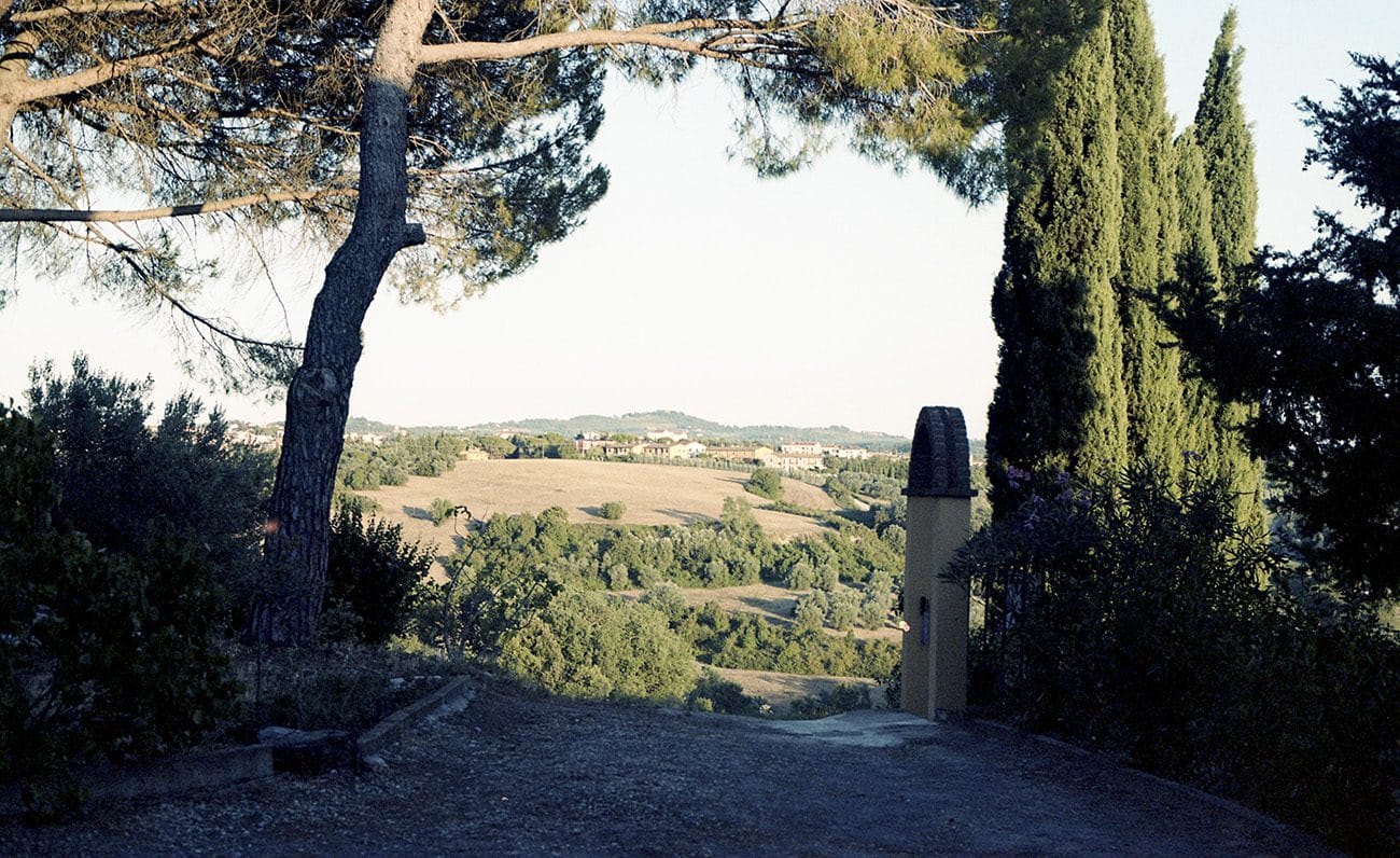 KODAK Portra 160 135/36 - Image 4